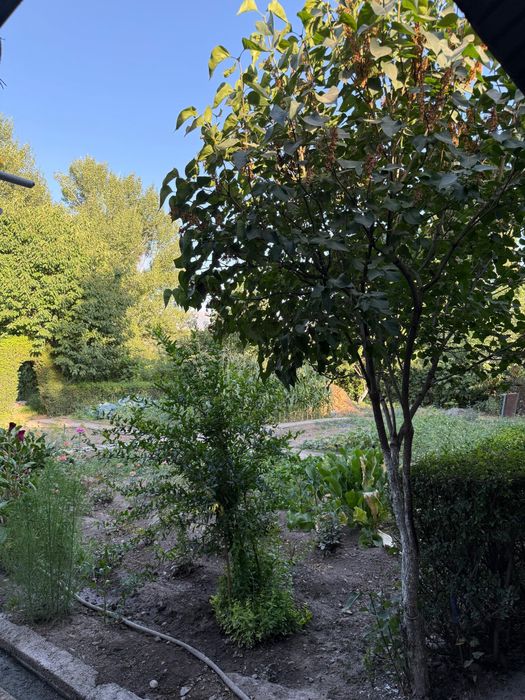 Продается дом в сельском округе