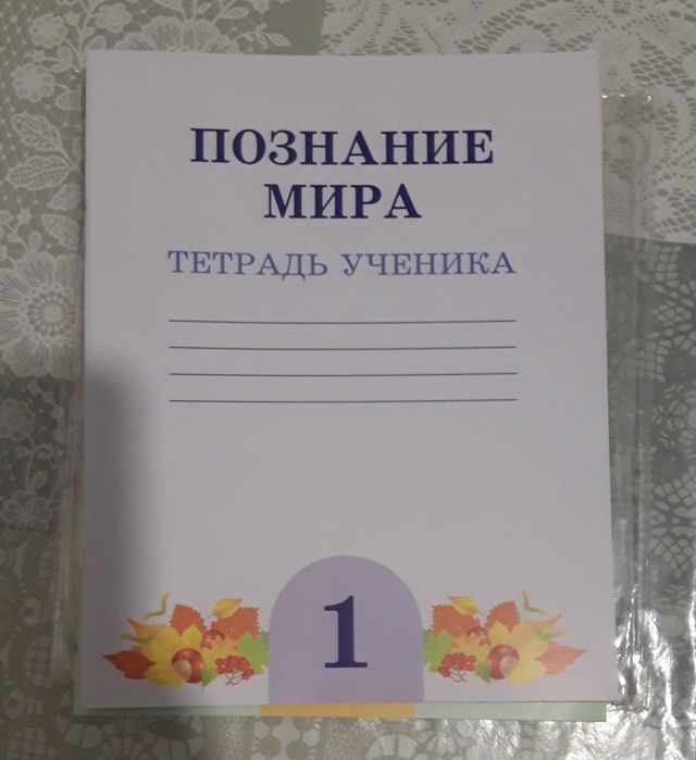 Рабочие тетради 1 класс