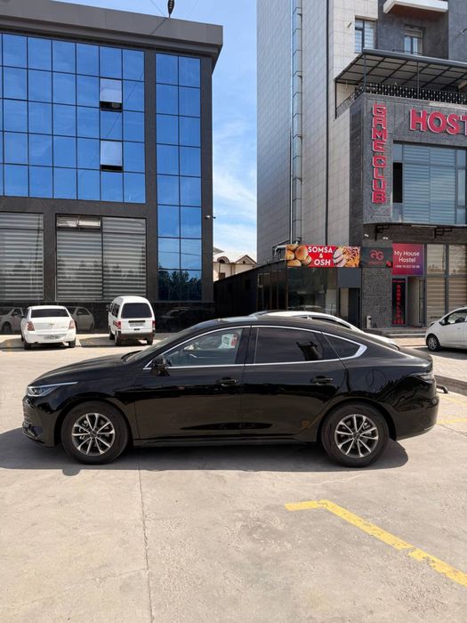 Byd chazor 55 km luxe
