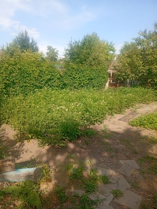 Продам дачу в пос.Мирный 2 млн торг