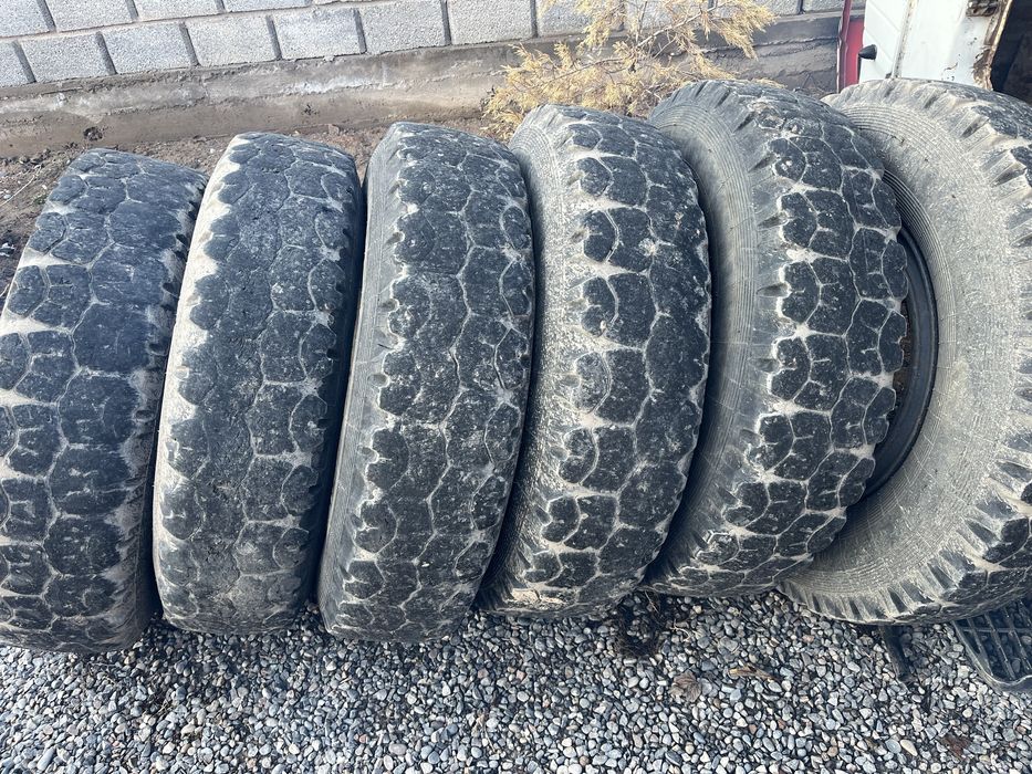 Камаз балон R20 9.00