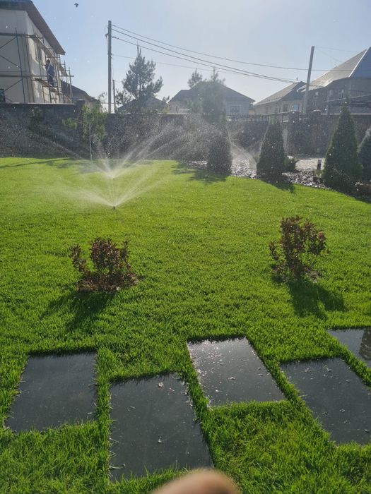 Озеленение, газон, автополив