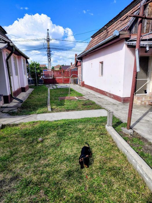 Casa de vânzare!