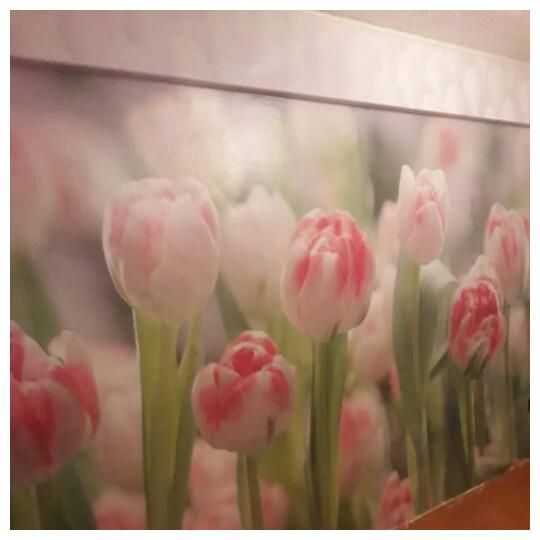 Профессиональная поклейка.Качество!