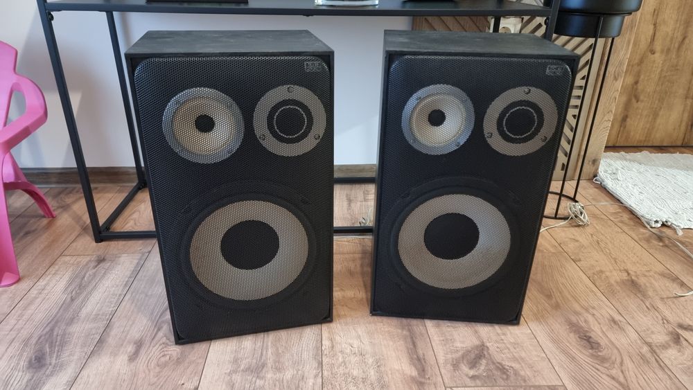 Тонколони scan sound 10"