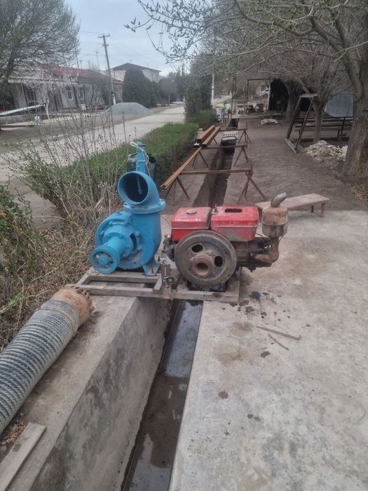 Jumong nasoʻs 250 lik