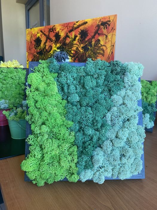 Жива картина от скандинавски мъх, три цвята “Зелен релакс”