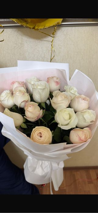 Свежие фото , доставленные сейчас