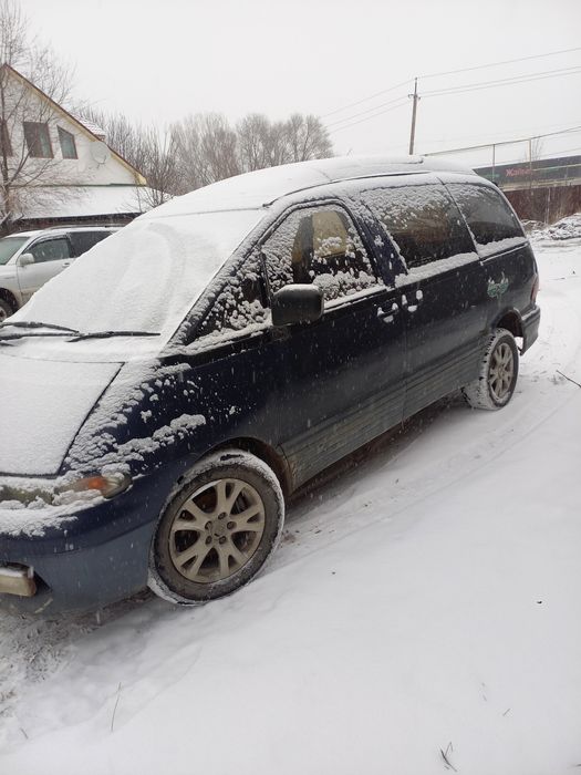 Срочно продам люсида