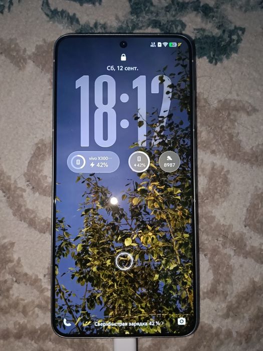 Vivo x300 ultra CN идеал