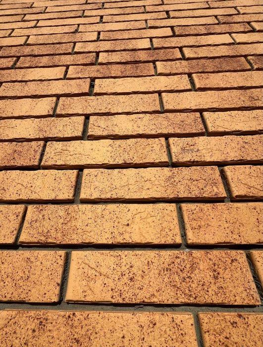 Кирпич облицовочный Солома Морошка