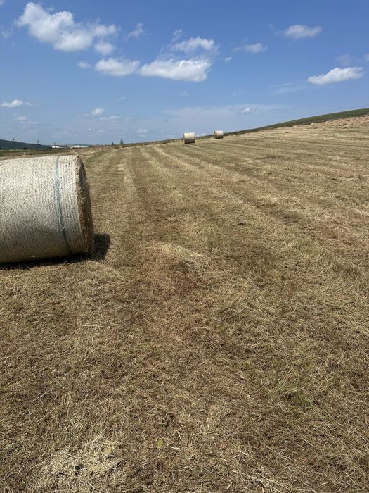 De vanzare baloti de fan si lucerna