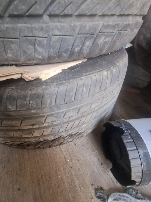 Диск мерске садор