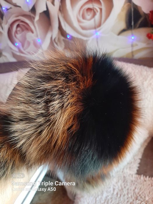 Шапка-ушанка.Сортировка