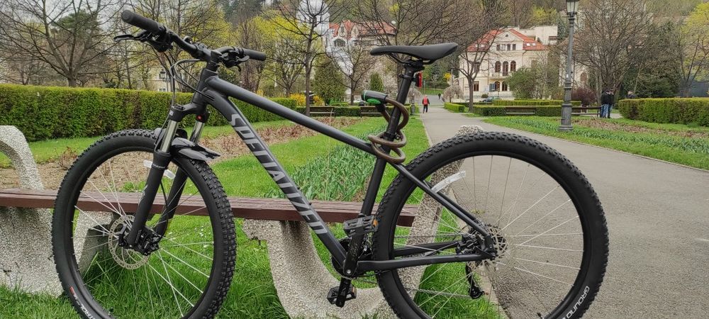Specialized Rockhopper Sport 29 L