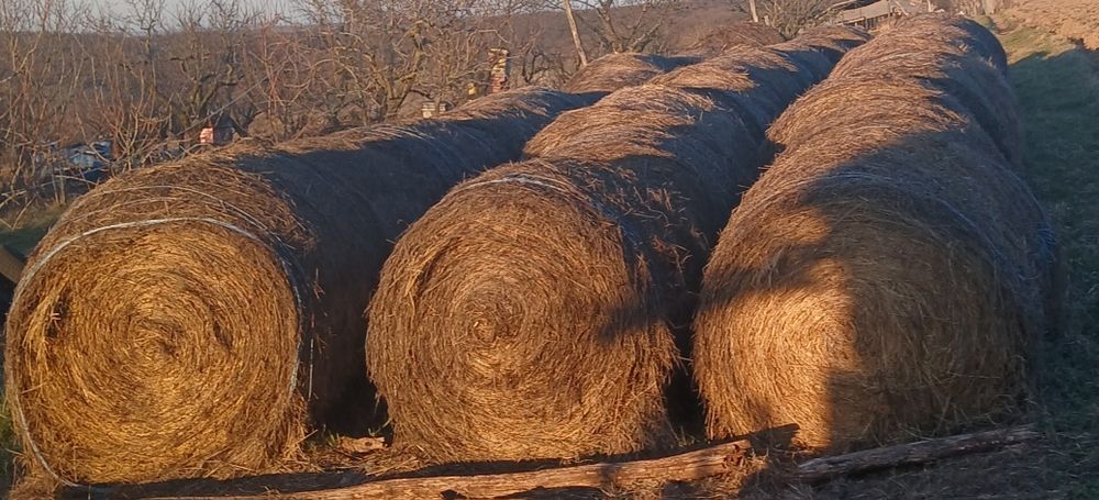 Vând Baloți de fân