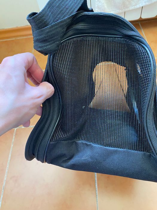 Переноска для кота