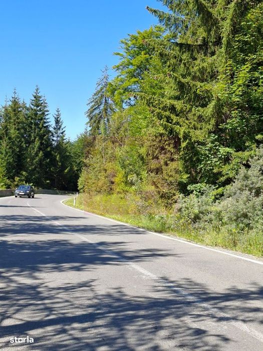Teren de vânzare în zona Cota 1000 – Sinaia