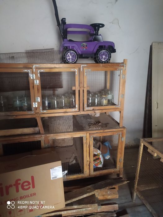 Куйон сетка товук сетка