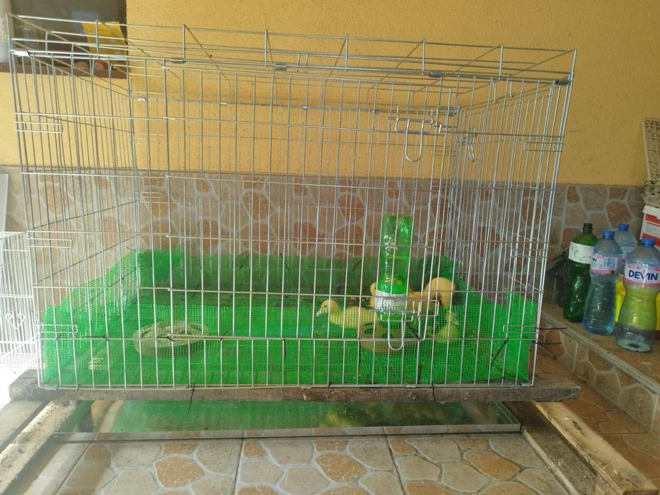 Клетка за куче.Нови-Размери XS,S,M,L,XL.XXL