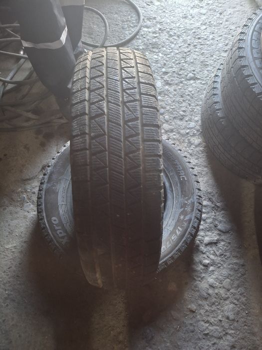 Зимние баллон китайский