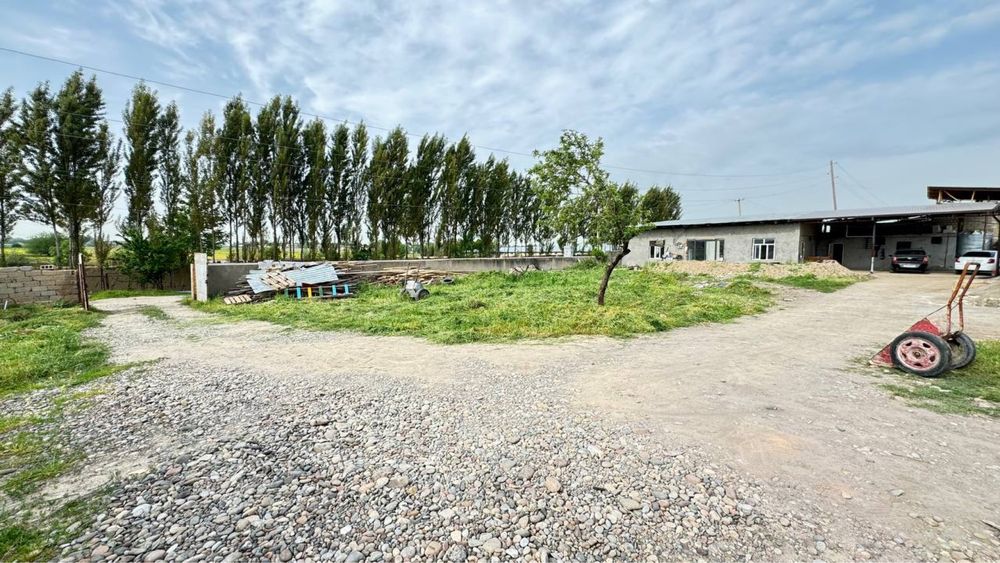 25 сотих 800 квм ангар 300 квм жилой офис ТП, газ, сув