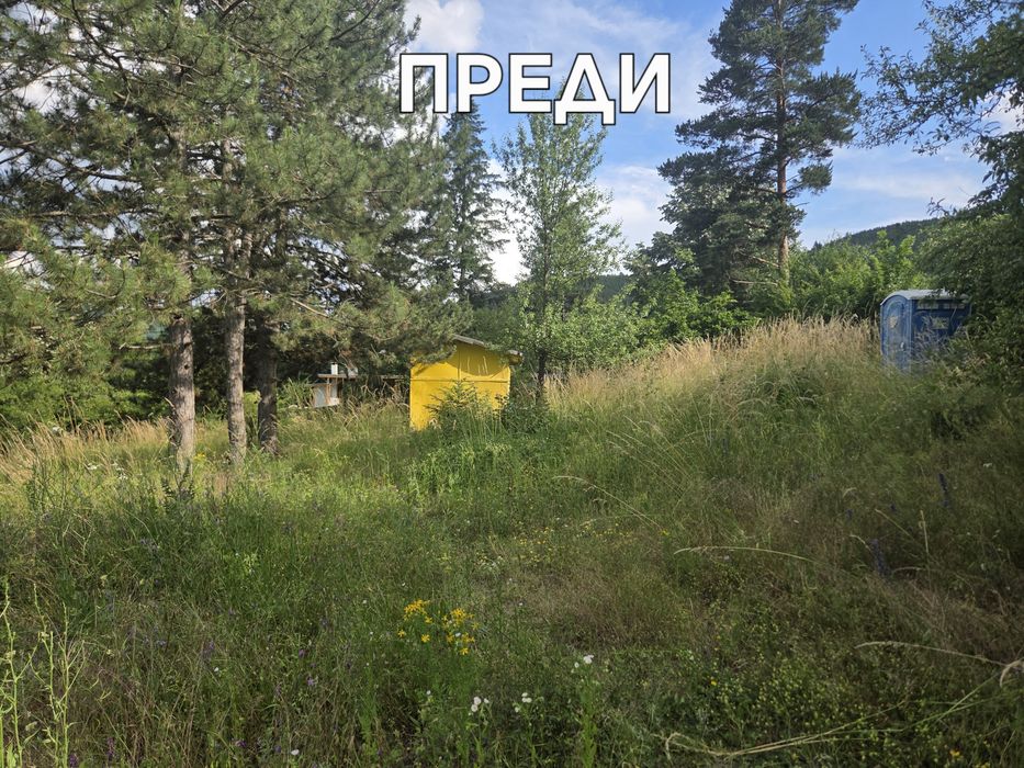 Почистване на запустели парцели дворове и имоти