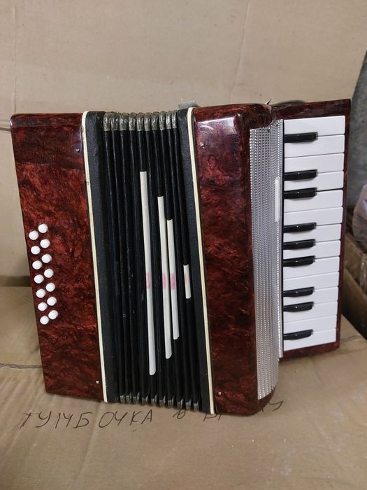 Продам детский Аккордион