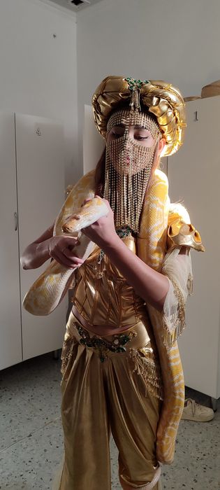 Тигровая змея питон