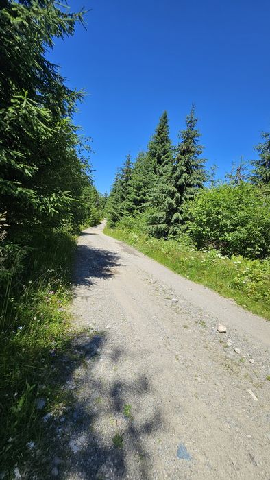 Teren Obarsia Lotrului Râul Lotru Lacul Vidra Transalpina Ski Resort