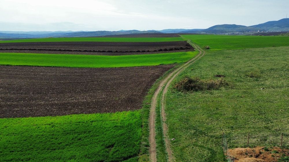 Terenuri extravilane deva