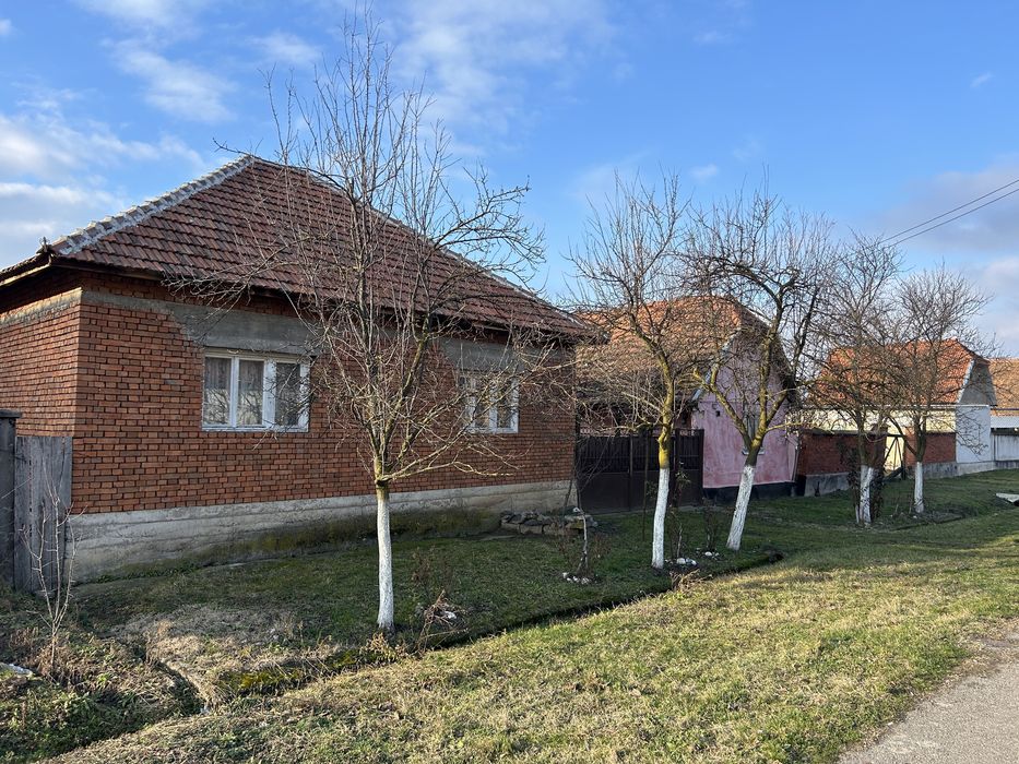 Casa la rosu de vanzare