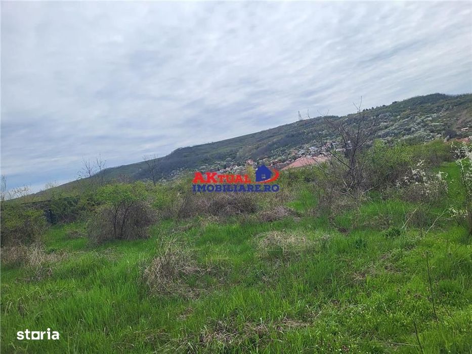 Vanzare teren 35.000mp Stefanesti -Arges-Comision 0%