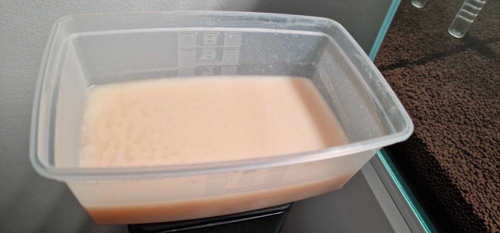 CULTURI mature Microviermi, Bananaworms, Grindal HRANA VIE PT. PESTI