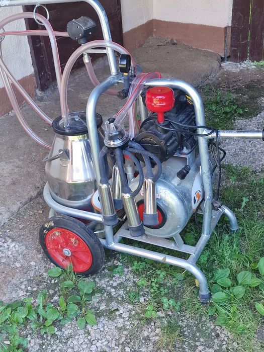 Mulgătoare de vaci