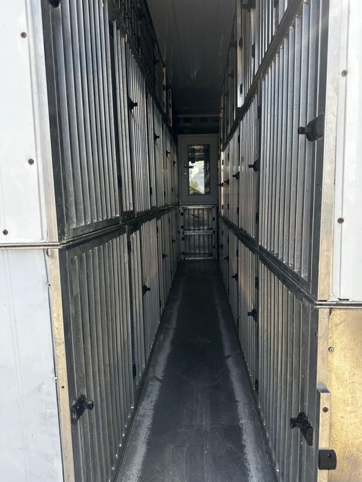 Mercedes sprinter 319