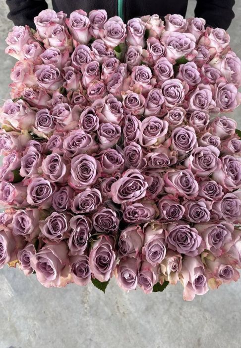 Тюльпаны оптом,розы,пионы,