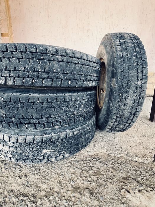 Хайфлайн шины