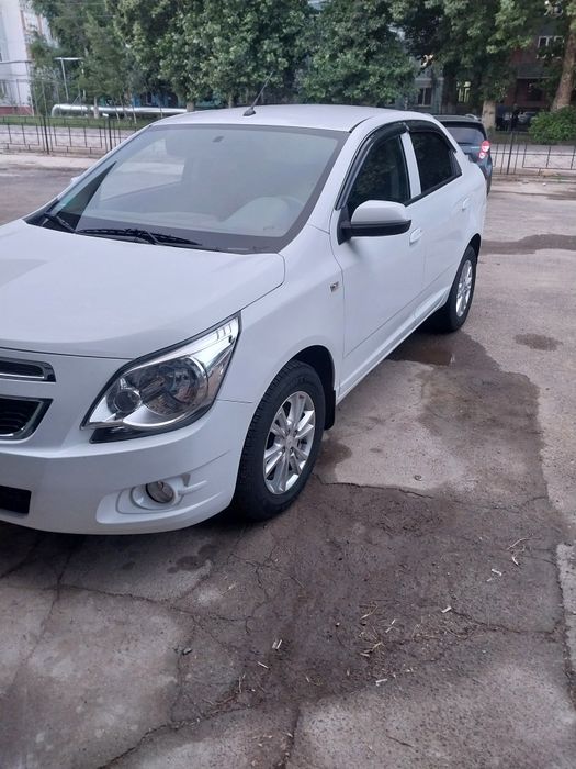 Kobilt 2022 sotiladi