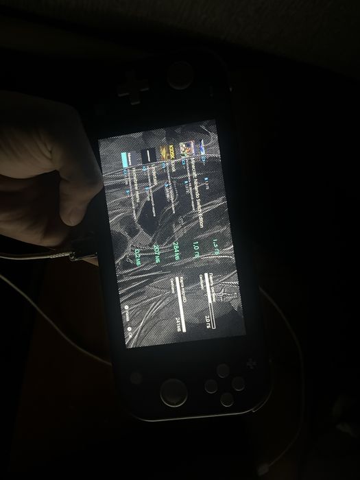 Nintendo switch lite прошитая