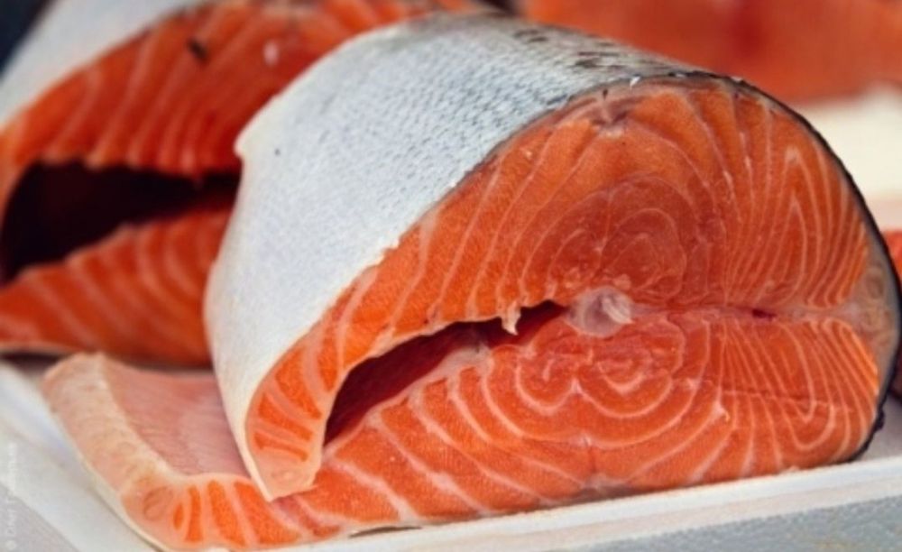 Сахалинский лосось ( сёмга)