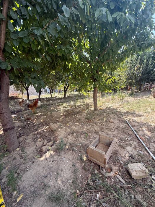 Продам дом участок По цене Земли Аргин махаля Кибрай Argin 6 sotka 18m