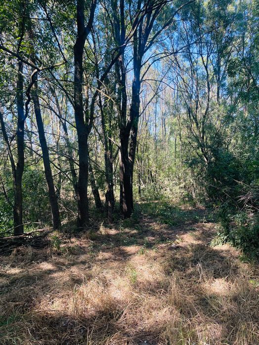 Teren intravilan com Mârzănești sat Valea Parului