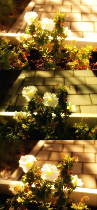 фотоаппарат Samsung NX300