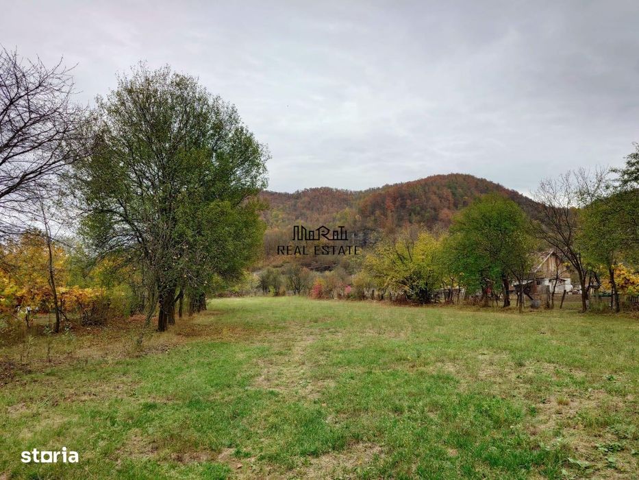 Teren intravilan 2500mp Criscior