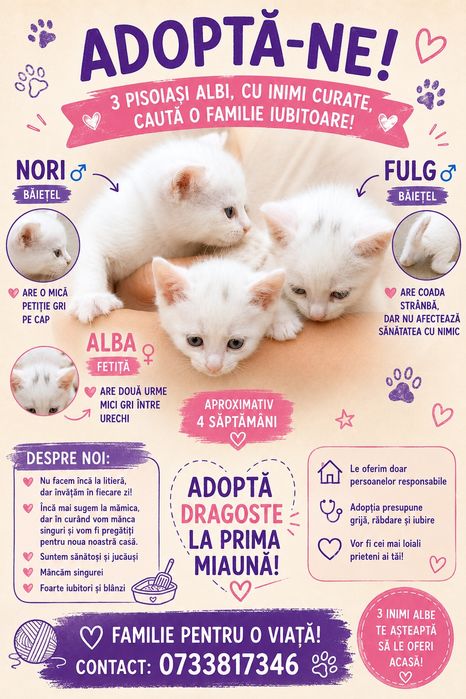 3 norisori albi pentru adoptie