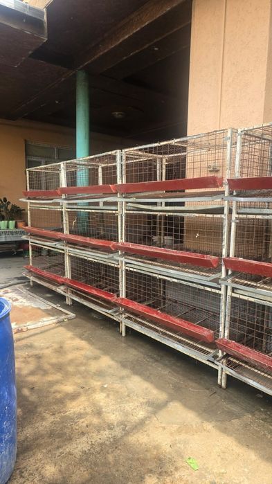 Клетка для перепелов бодене