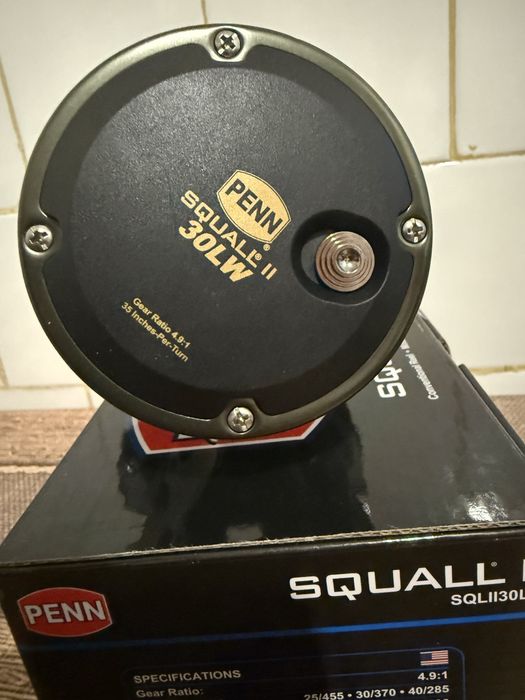 Mulineta penn squall 2