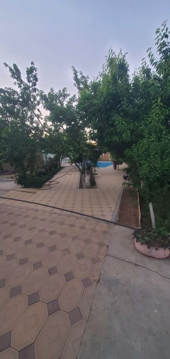 дача сотилади 15 сотих