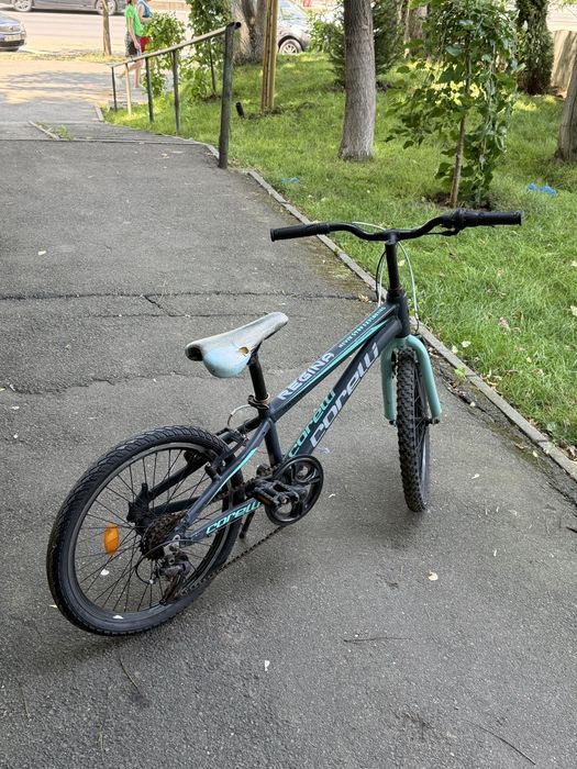 Vand bicicleta Correlli Regina